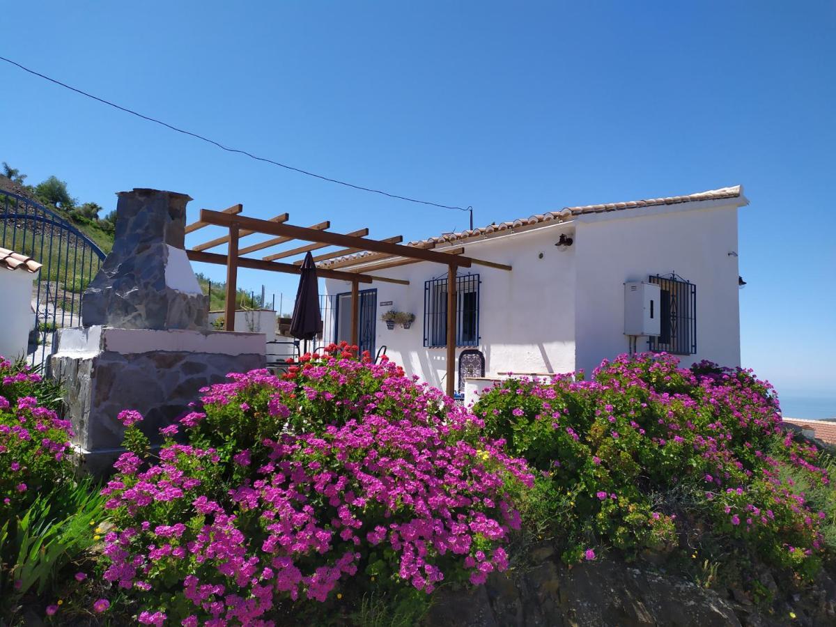 B&B La Madrugada Cómpeta Екстериор снимка